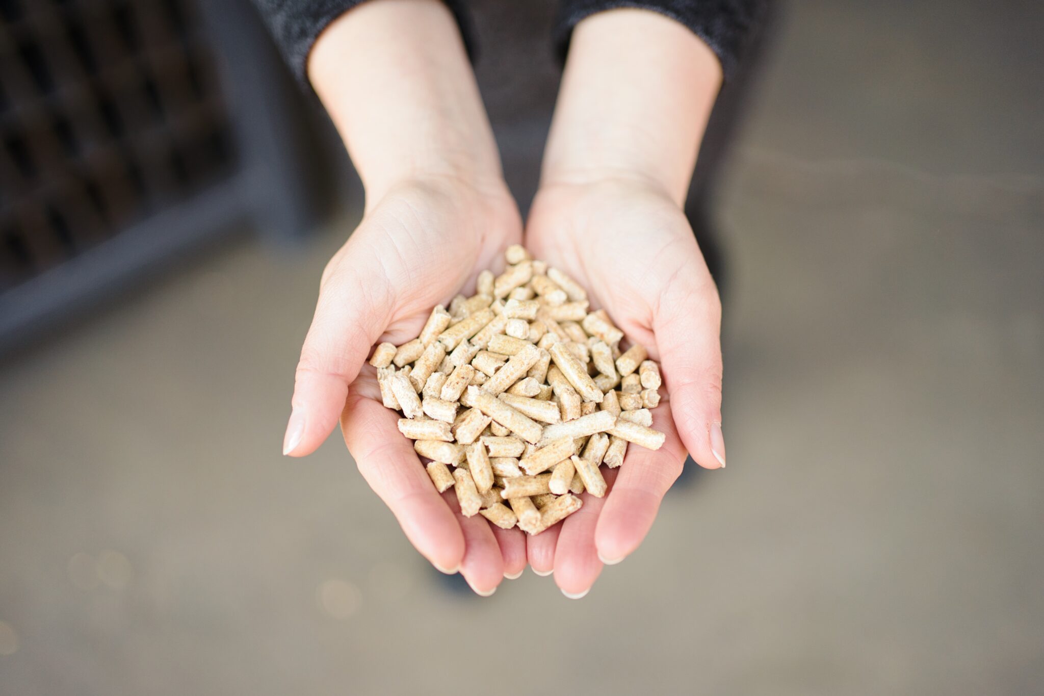 Silos für Pellets Holzpellets richtig lagern SILOTEC DE